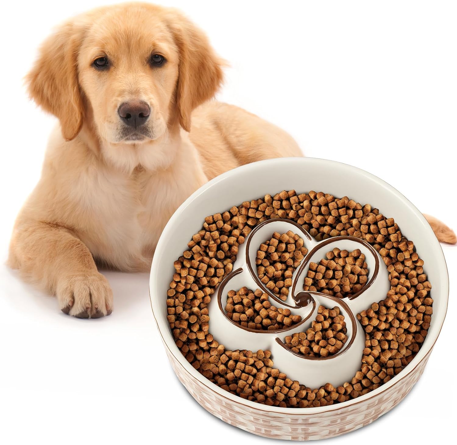 Comedero Lento de Cerámica para Perros Medianos y Grandes